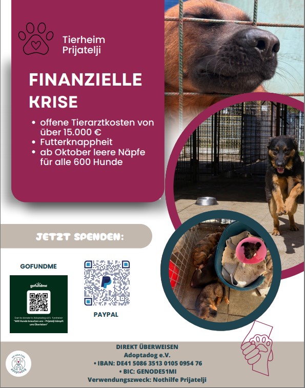 https://www.gofundme.com/f/600-hunde-brauchen-uns-prijatelji-kampft-ums-uberleben